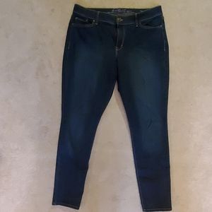 Gloria Vanderbilt Curvy Blue Jeans
